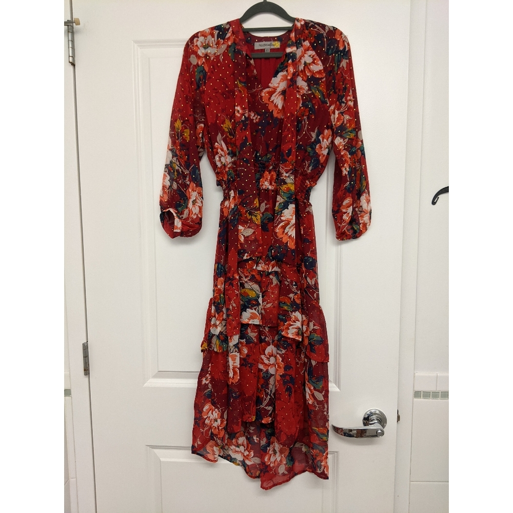 Figueroa & Flower Red Floral Maxi Dress Size XS